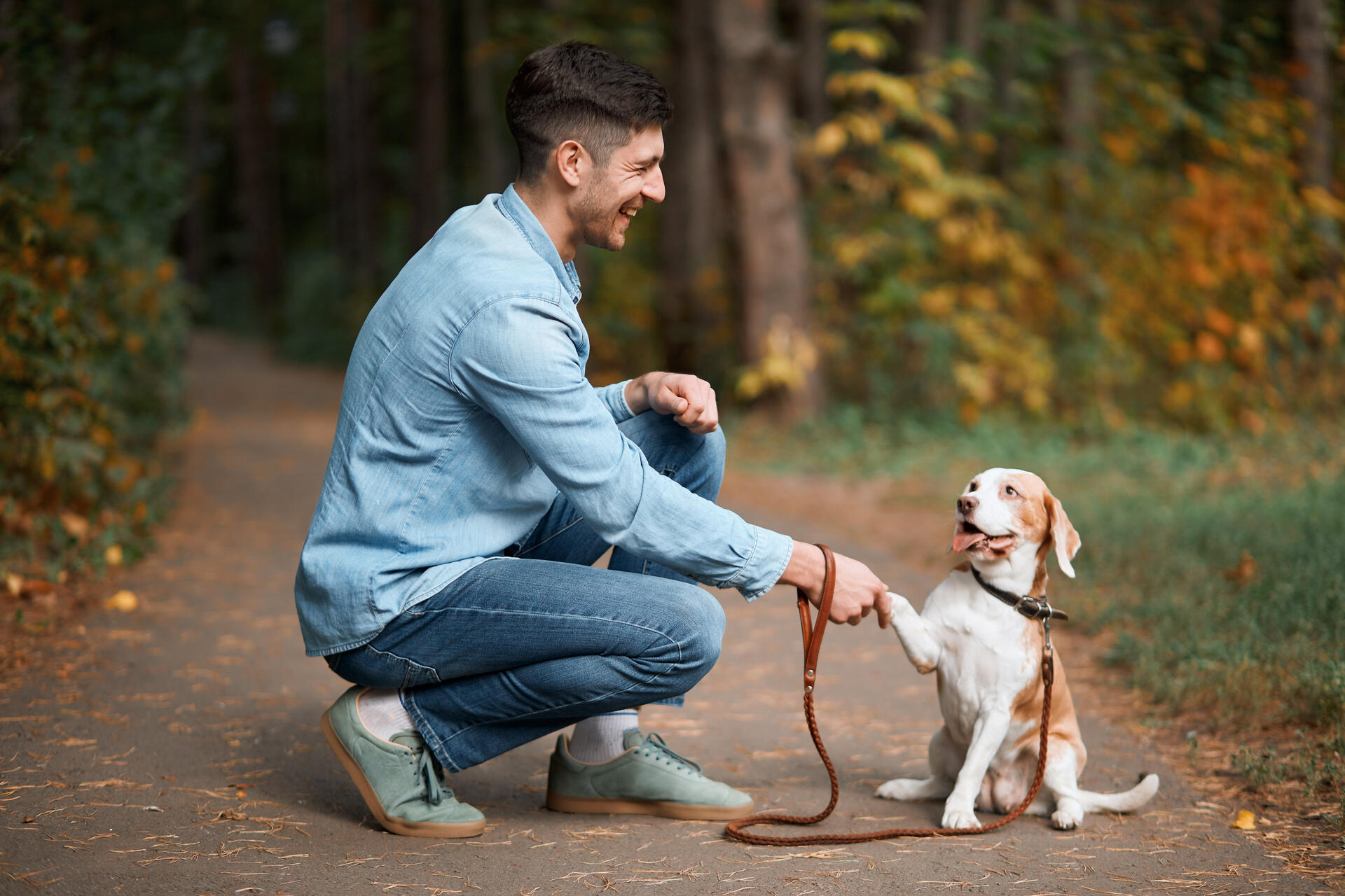 A man training a dog to shake hands