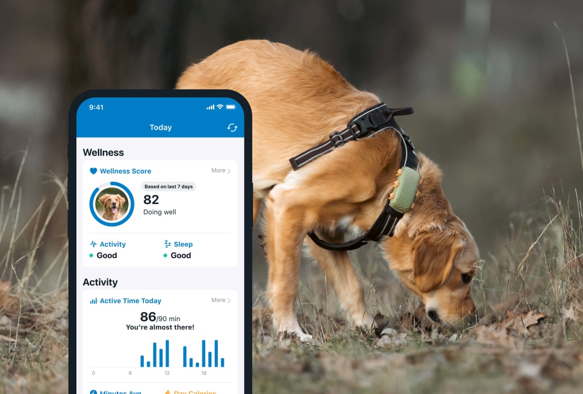 Aktivitetsovervågning med den nye Tractive GPS DOG 4 på smartphone