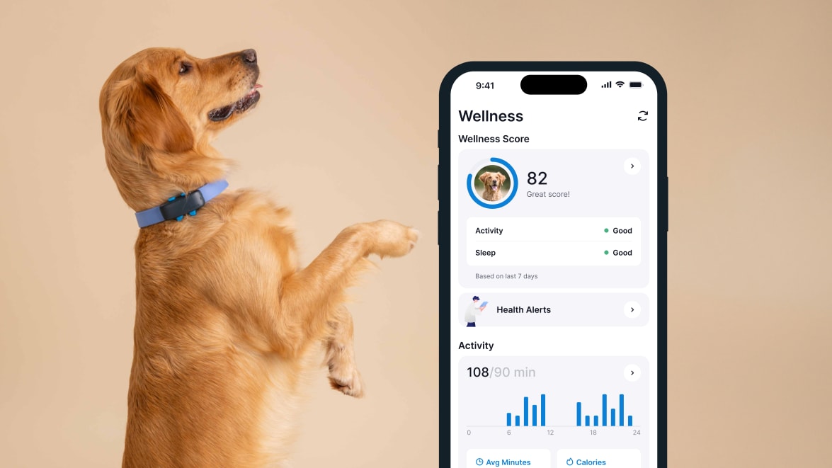 Aktivitetsovervågning med den nye Tractive GPS DOG 4 på smartphone