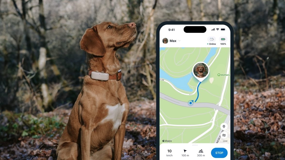 LIVE-tracking med den nye Tractive GPS DOG 4