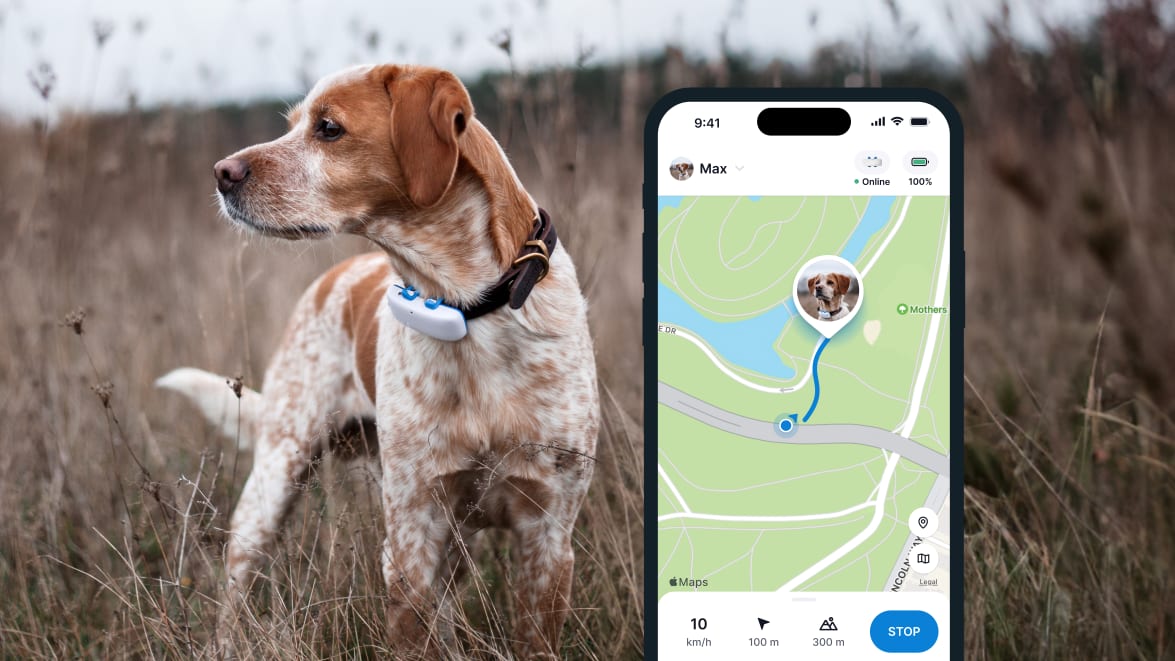 LIVE-tracking med den nye Tractive GPS DOG 4