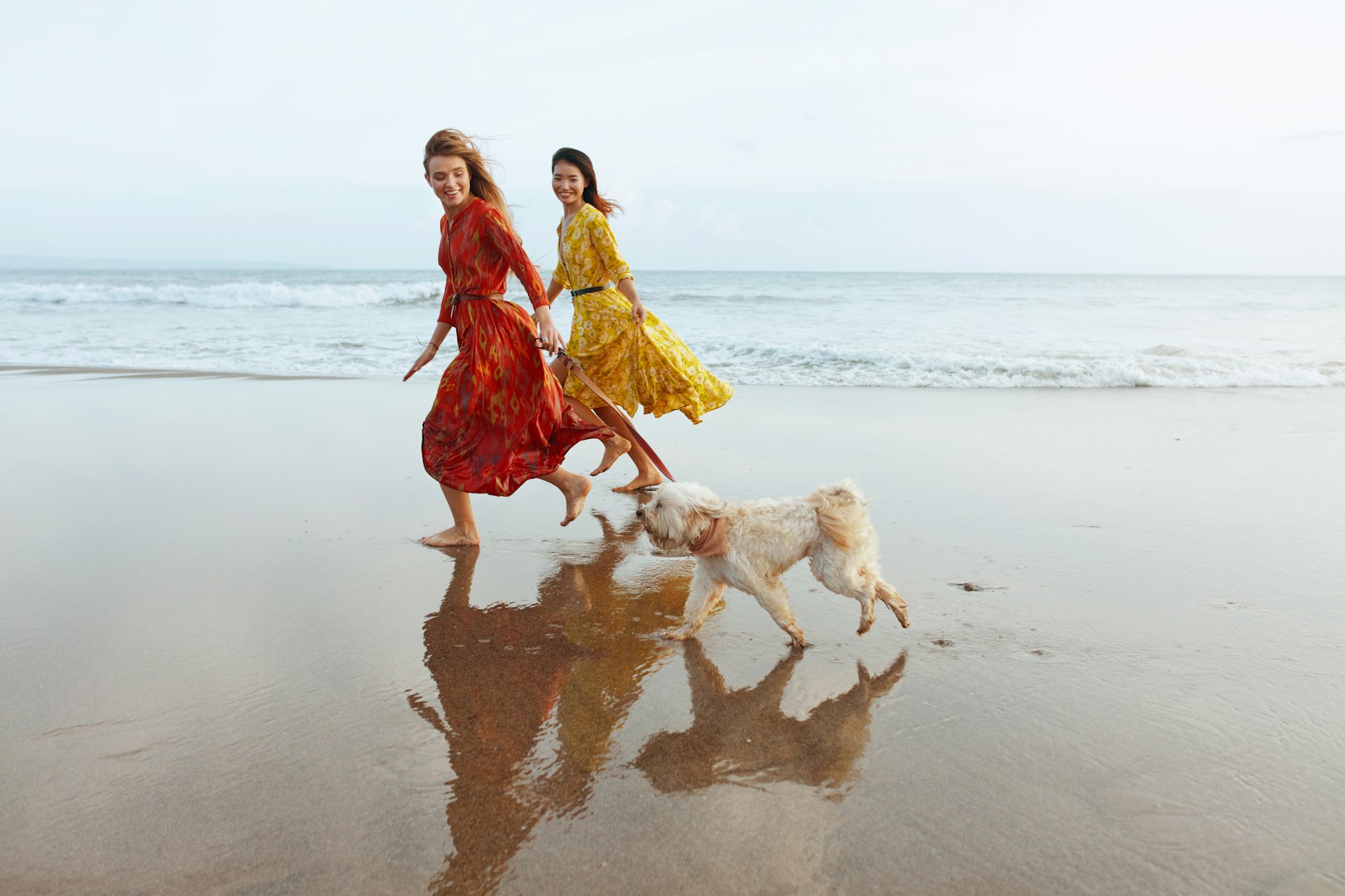 A pair of women walking a dog on a leash by the sea