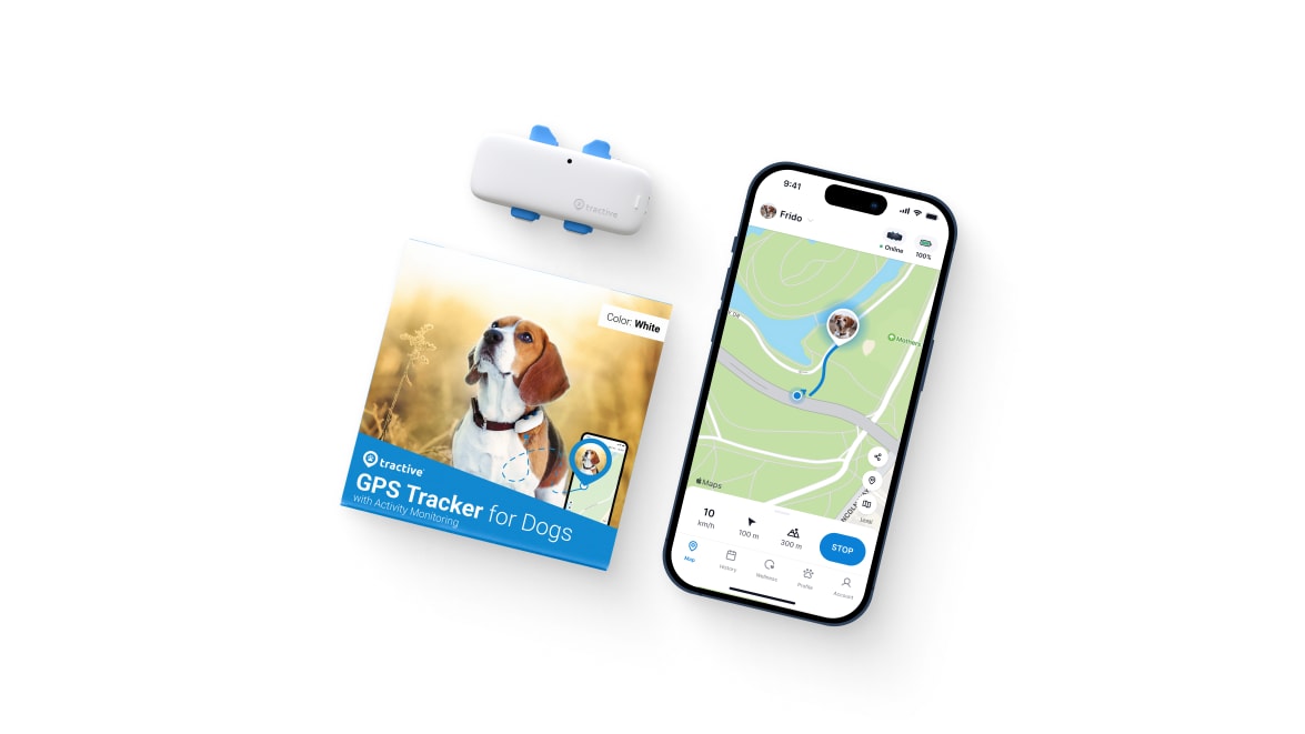Emballage til Tractive GPS DOG 4