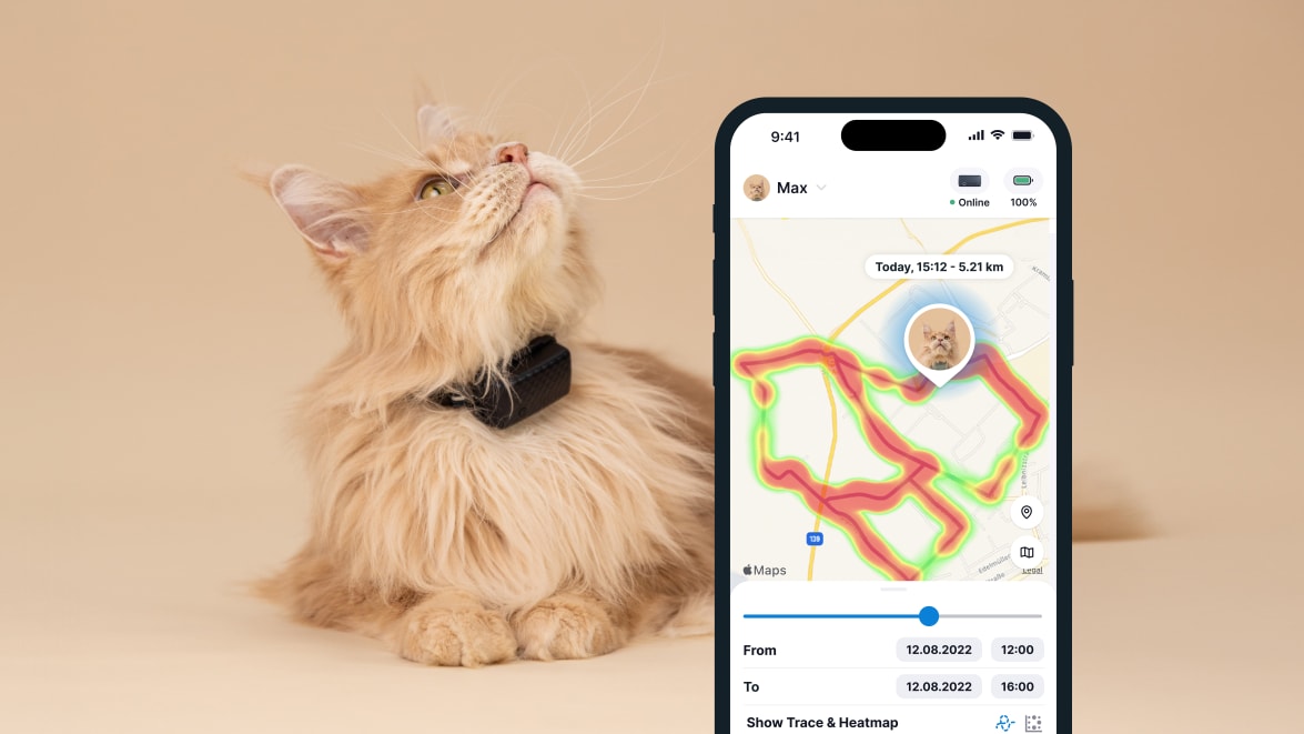 Aktivitetsovervågning med den nye Tractive GPS CAT 4 på smartphone