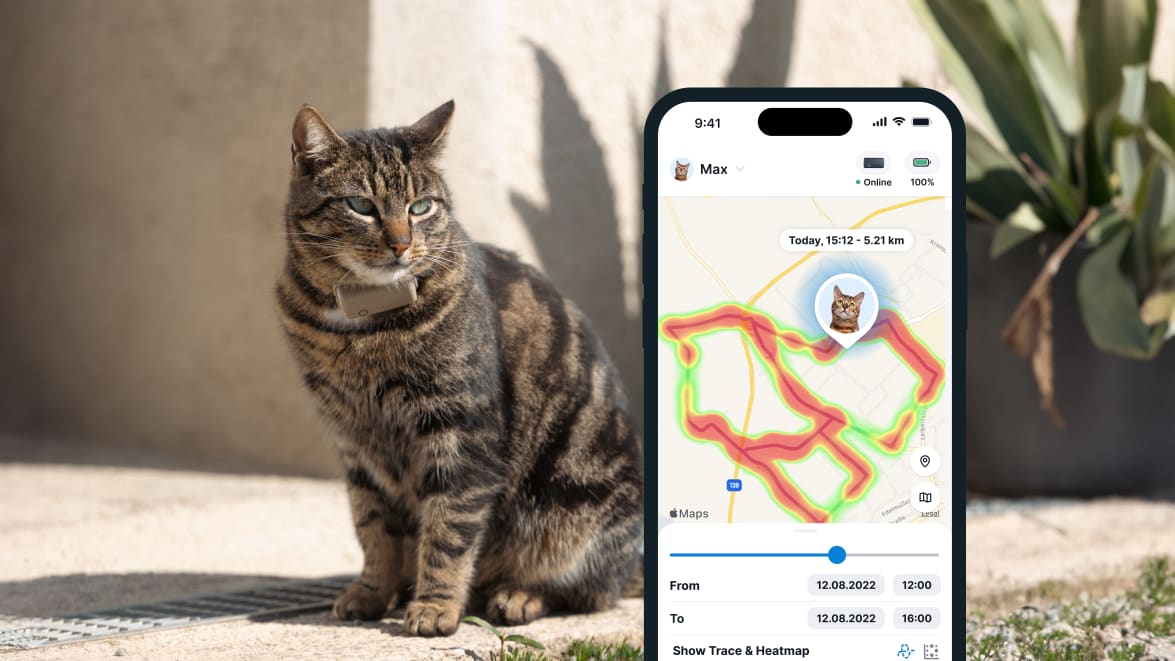 Aktivitetsovervågning med den nye Tractive GPS CAT 4 på smartphone