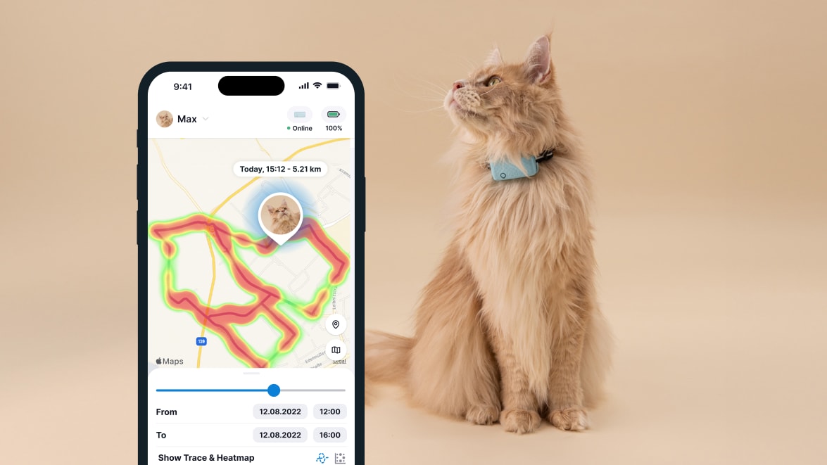 Aktivitetsovervågning med den nye Tractive GPS CAT 4 på smartphone