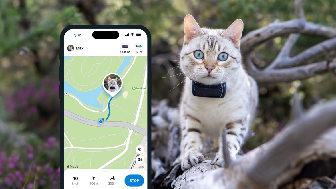 LIVE-tracking med den nye Tractive GPS CAT 4
