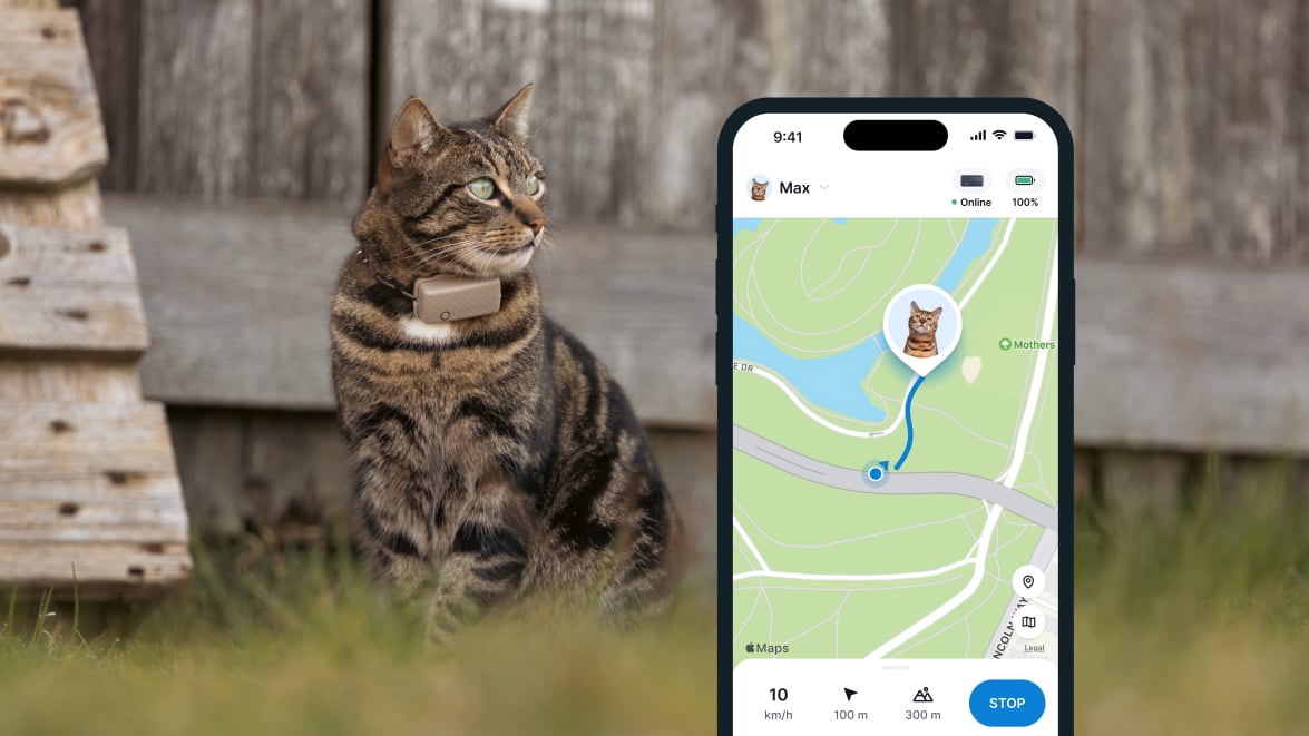 LIVE-tracking med den nye Tractive GPS CAT 4