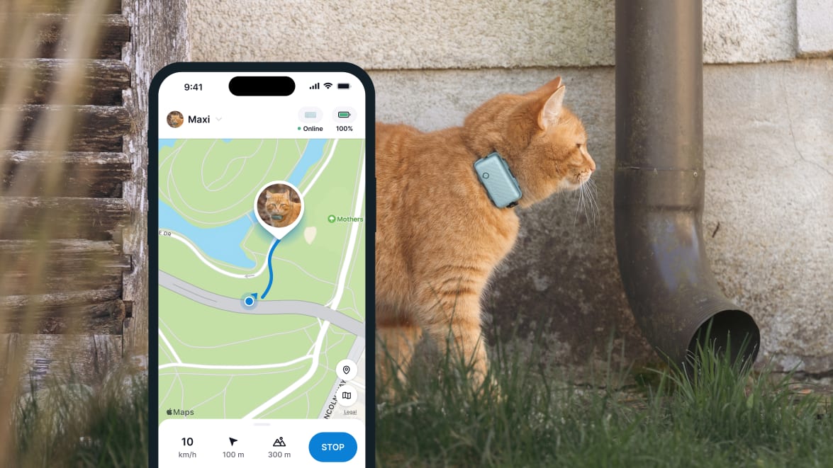 LIVE-tracking med den nye Tractive GPS CAT 4