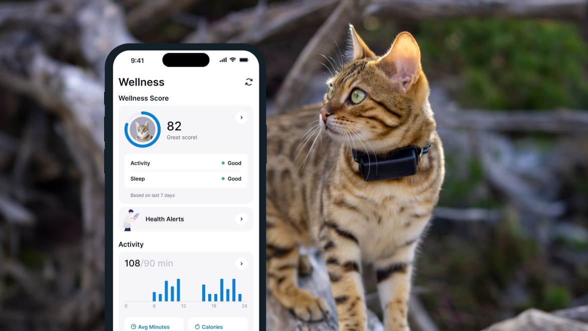 Søvnovervågning med den nye Tractive GPS CAT 4 på smartphone