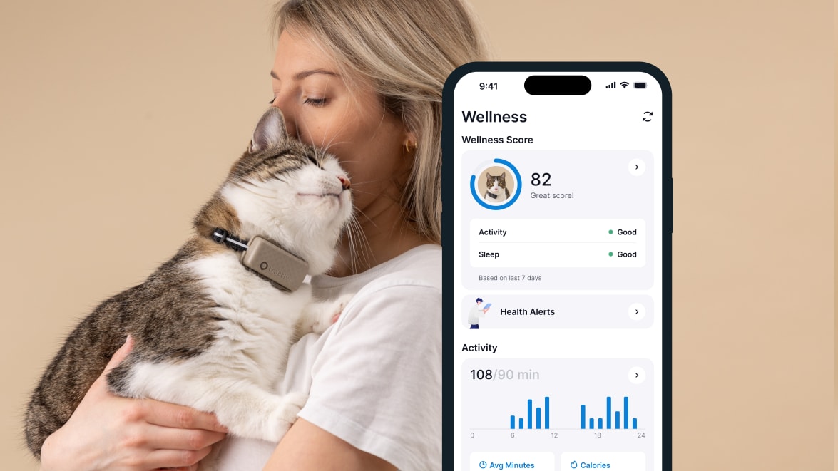 Søvnovervågning med den nye Tractive GPS CAT 4 på smartphone