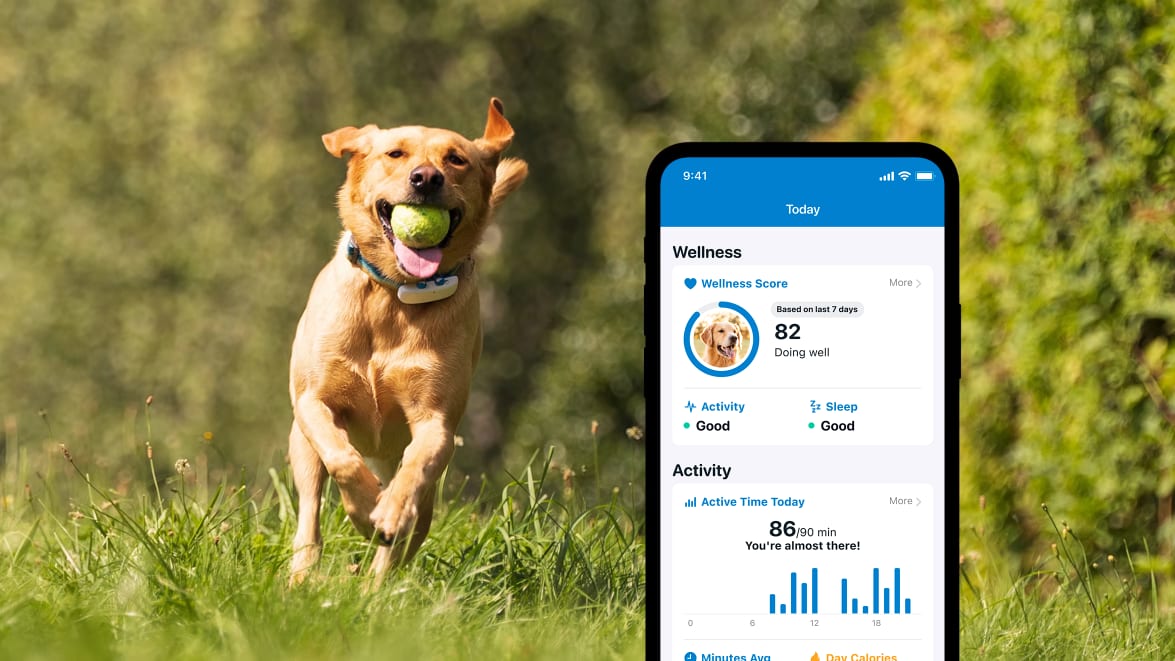 Aktivitetsovervågning med den nye Tractive GPS DOG 4 på smartphone