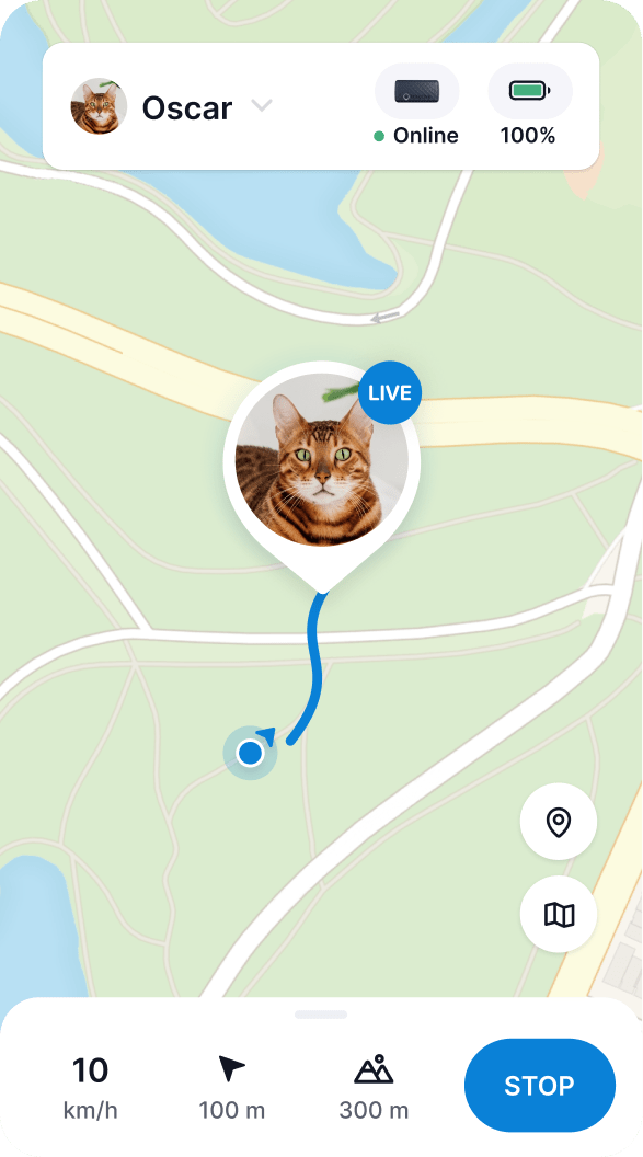 Katte